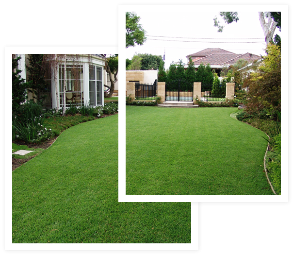 lawn turf supplies collage